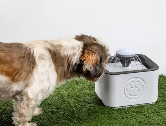 Bebedero De Agua Para Perros y Gatos